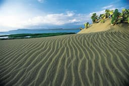 Las Dunas de Baní: un paisaje vivo donde el viento esculpe la naturaleza y el mar recompensa la travesía